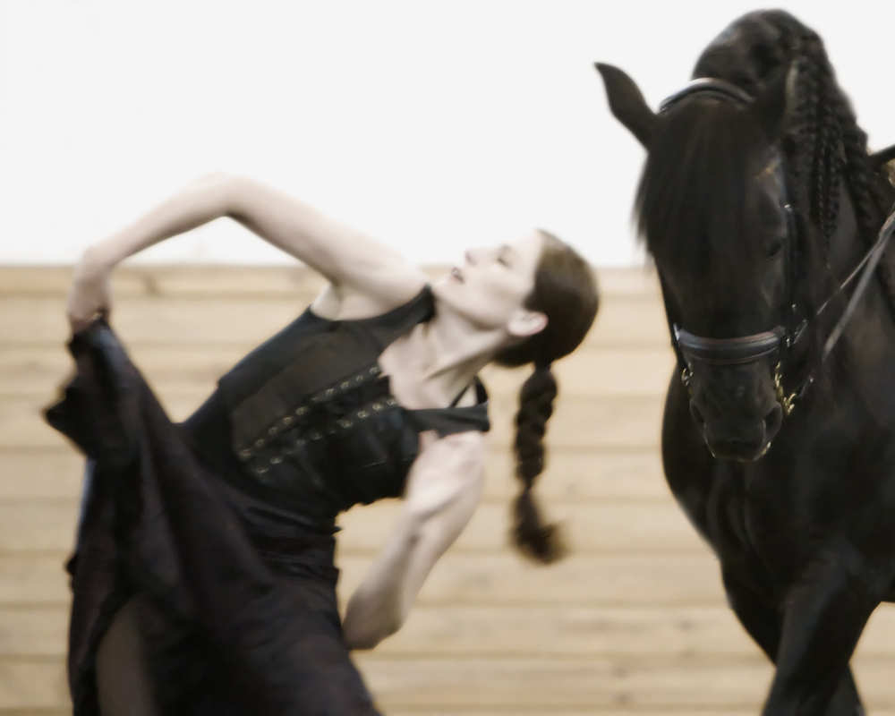 About Dancing with Horses