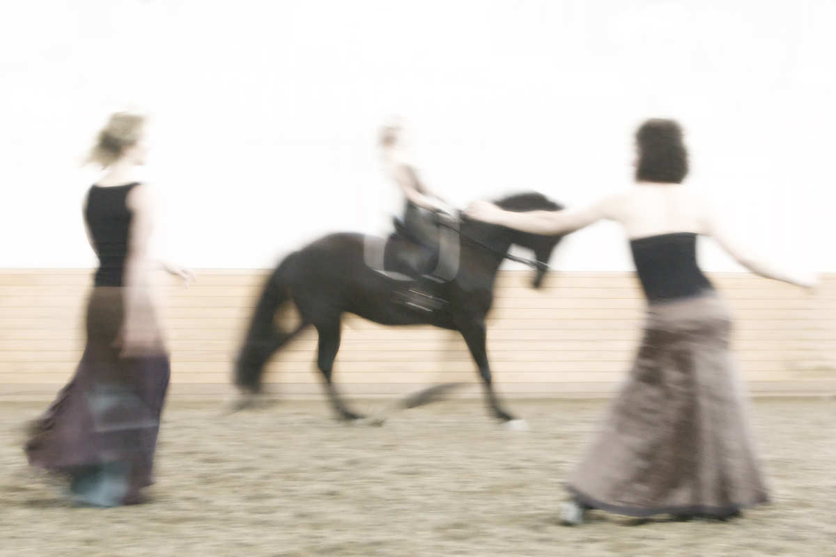 About Dancing with Horses