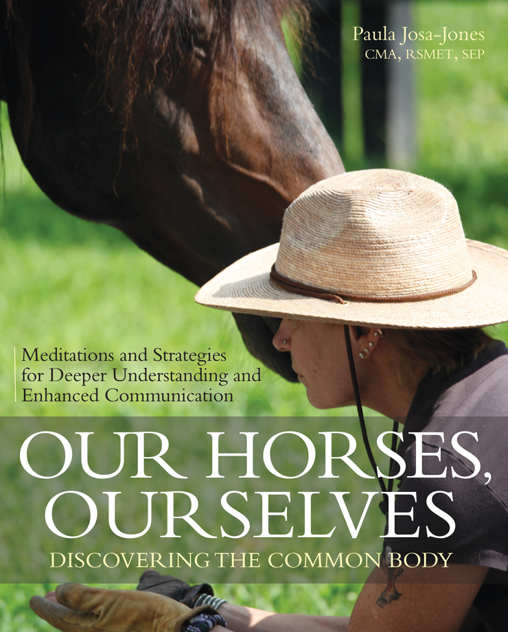 Our Horses, Ourselves